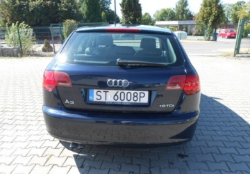 Audi A3 8P Hatchback 3d 1.9 TDI 105KM 2006 Audi A3 Sportback Audi A3 II (8P) sportbag 1.9 Diesel 105KM, zdjęcie 4