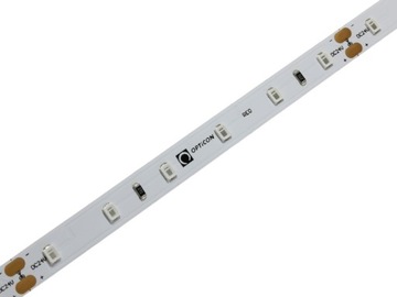 TAŚMA 24V LED 1m 300 SMD 2835 IP20 8mm Czerwony