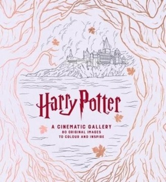 Harry Potter A Cinematic Gallery - J. M. Dragunas