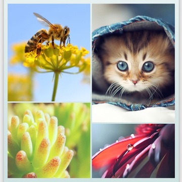 Объектив для телефона+ Широкоугольный объектив