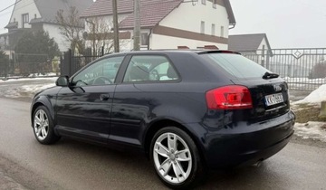 Audi A3 8P Hatchback 3d 1.6 TDI 105KM 2010 Audi A3 3-drzwiowe Audi A3 3-drzwiowe 1.6 TDI DPF Ambition 1.6 Diesel 105KM, zdjęcie 10