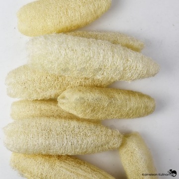 ЛЮФА ЛЮФА НАТУРАЛЬНАЯ ГУБКА ДЛЯ МЫТЬЯ РАСТЕНИЙ