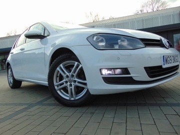 Volkswagen Golf VII Hatchback 3d 1.6 TDI BlueMotion 110KM 2015