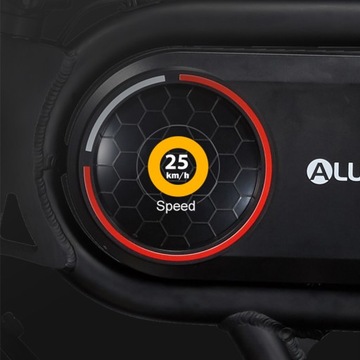 CS-P10 25km/h 12