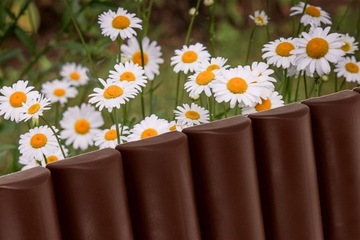 САДОВЫЙ ЧАЛИСАД, КОРИЧНЕВЫЙ КАМЕР - 2,5 М