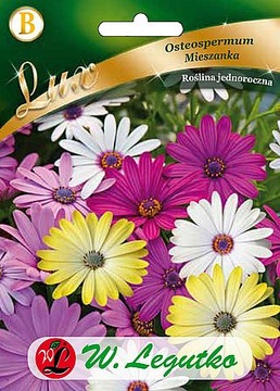 OSTEOSPERMUM OGRODOWA PIĘKNOŚĆ MIESZANKA 1 g 'LEGUTKO