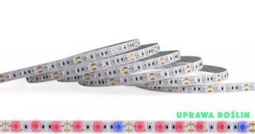 Taśma LED 5M 12V 5050 72W |WZROST I UPRAWA ROŚLIN