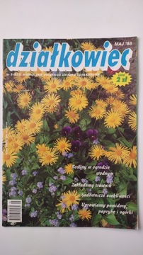 Дзялковец 5 1998