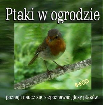 Ptaki w ogrodzie nauka rozpoznawania odgłosów