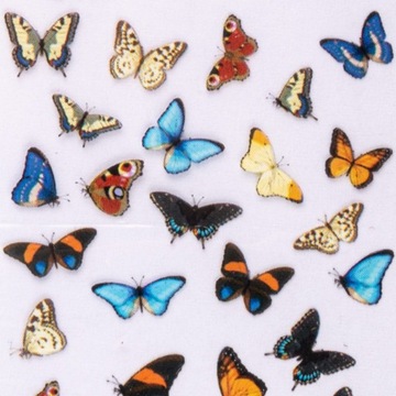 Folia Transferowa Do Paznokci Hybryd Żeli 100cm Spring Collection Nr5