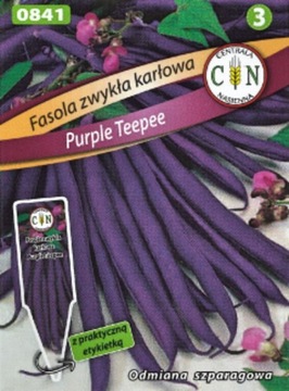 Fasola Purple Teepee - szparagowa karłowa bardzo wczesna mega plenna