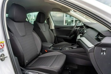 Skoda Octavia IV 2026 Škoda Octavia Skoda Octavia Drive Selection 2.0, zdjęcie 13