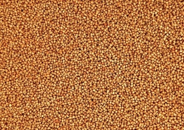 Scopex Method Feeder Pellet 0,75kg