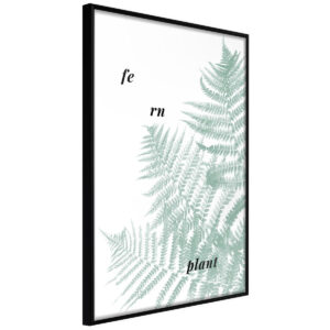 Obrazy do Sypialni Paprocie 30x45 Rama czarna