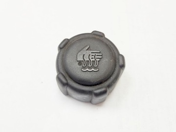 KOREK ZBIORNICZKA PŁYNU RENAULT CLIO LAGUNA MODUS MEGANE SCENIC KANGOO ZOE
