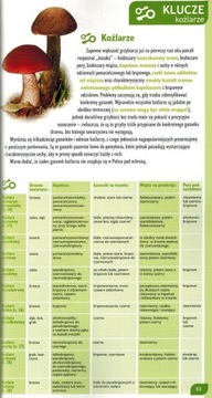 ПРАКТИЧЕСКИЙ АТЛАС РУКОВОДСТВО ПО ГРИБАМ ДЕМАРТА