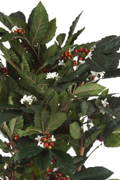 эффектное искусственное кофейное дерево 180 Coffea Kawa