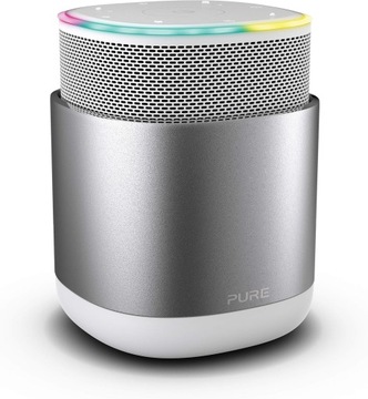 Głośnik przenośny Pure DiscovR srebrny 45 W