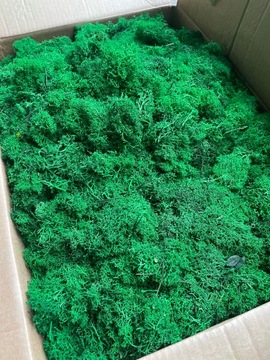 Наполнитель из мха Хроботка, украшения, украшения, 1кг