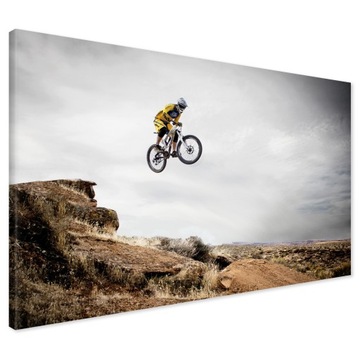 Obraz na płótnie rower downhill DH sport Nowoczesny na ścianę 70x50