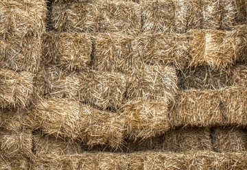 ПОДЛОЖКА ДЛЯ СОЛОМЫ ДЛЯ СОБАК РОДОЗОН XXL