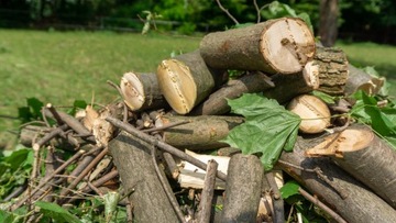 ИЗМЕЛЬЧИТЕЛЬ БЕНЗИНОВЫЙ RS-100 4N, 15 л.с.