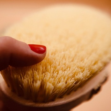 BRISTA Szczotka do masażu ciała z włosiem z Agawy