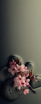 NAKLEJKI NA ŚCIANĘ FOTOTAPETA 125x250 KWIATY DO SALONU