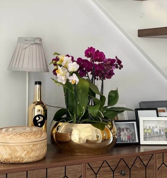 КЕРАМИЧЕСКАЯ ЧАШКА, ЦВЕТОЧНЫЙ ВАЗ, КРЫШКА, 19см, ЗОЛОТО