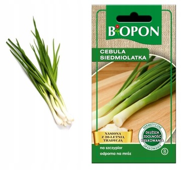 BIOPON NASIONA CEBULA SIEDMIOLATKA 0,5g SZCZYPIOR