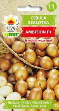 Cebula szalotka Ambition F1 Nasiona 20szt