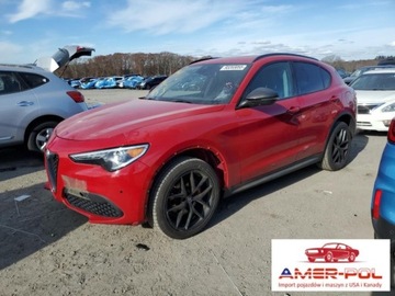 Alfa Romeo Stelvio 2019 Alfa Romeo Stelvio 2019 ALFA ROMEO STELVIO, 2L, od ubezpieczalni 2.0 284KM