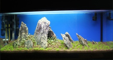 24kg Łupek Drzewiasty Zestaw Skał do Akwarium