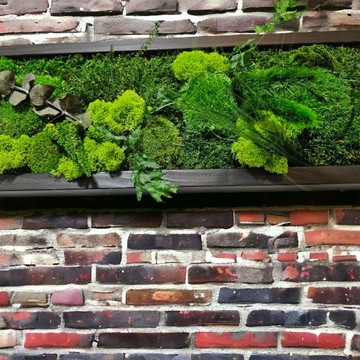 Панно из живого мха, джунгли, 3D стена из мха, нестандартный размер, выбор рамы 130 x 20 см.