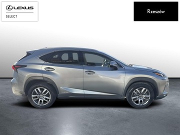 Lexus NX I SUV Facelifting 300h 197KM 2018 Lexus NX 300h Comfort AWD I (2014-2021) NX300h Com, zdjęcie 5