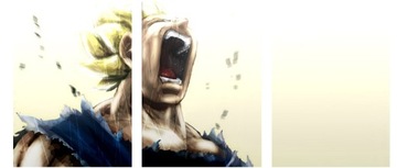 3x OBRAZ NA ŚCIANĘ DRAGON BALL Z VEGETA 30x40
