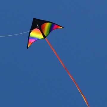 Giant Delta Kite, воздушный змей, с которым легко управлять.