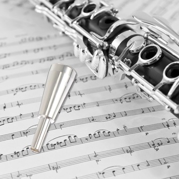 USTNIK DO TRĄBKI PROFESJONALNY PRZENOŚNY INSTRUMENT MUZYCZNY