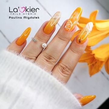 Комплект для гибридов 6x УФ-лампы Lakier 120 Вт