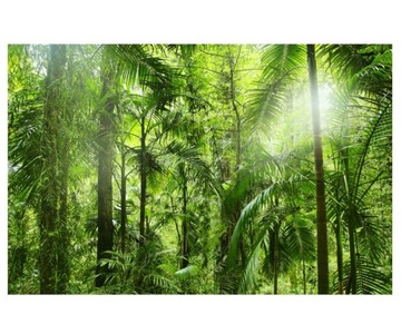 Fototapeta 460x300cm liście palmy dżungla