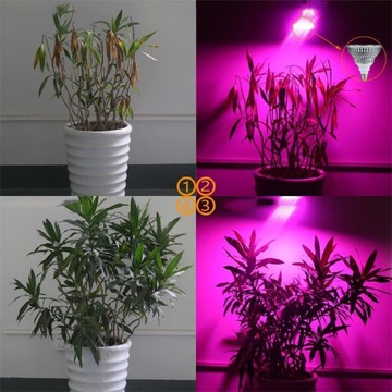 PANEL 200 СВЕТОДИОДНАЯ ЛАМПА ДЛЯ ВЫРАЩИВАНИЯ РАСТЕНИЙ, 20ВТ