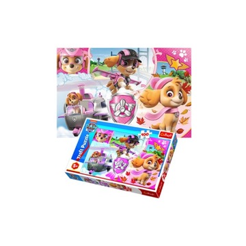 Пазл 100 деталей. Скай в действии