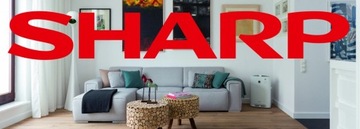 Filtr węglowy FZ-D60DFE do Sharp KC-D60EUW