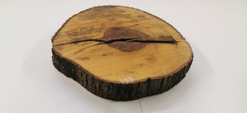 Срез ясеня 47х47 см, круглый, декоративное дерево