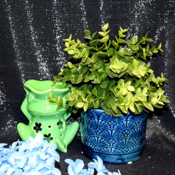 KOMINEK CERAMICZNY NA OLEJEK LUB WOSK ŻABA ZIELONY