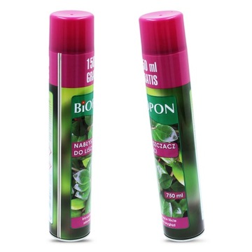 Plant Flower Leaves Shine 750мл Букет Спрей GLOSS Shine