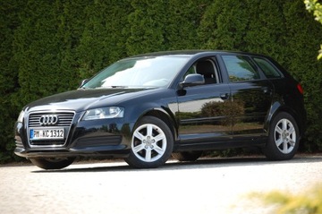 Audi A3 8P Hatchback 3d 1.6 102KM 2010 Audi A3 Lift Automat 5drzwi1.6MPI Klimatronic Alu Lato+Zima, zdjęcie 10