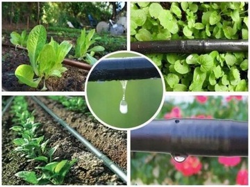 КАПЕЛЬНАЯ ЛИНИЯ КАПЕЛЬНЫЙ ШЛАНГ 16 33см 50м BRADAS