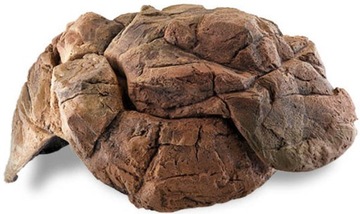 AT KAMIEŃ STARTOWY SS-02 Highland Torrent kaskada