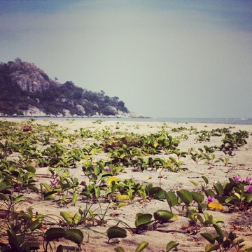 Натуральное тамариндовое мыло, осветляющее, 100г.